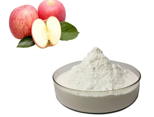 apple fruit extract.png
